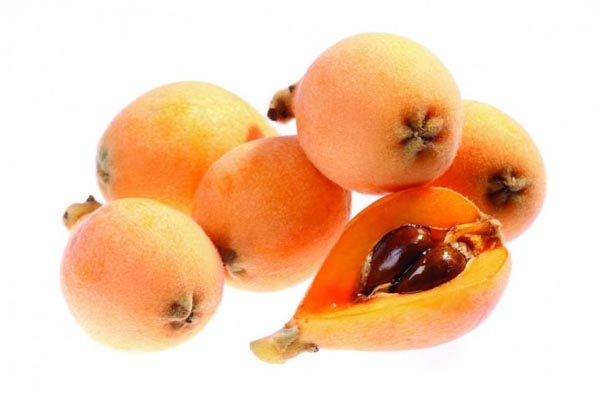 肺热咳嗽有黄痰吃点枇杷