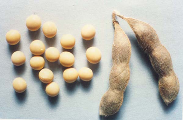 不要多吃9种食物，否则易致失眠