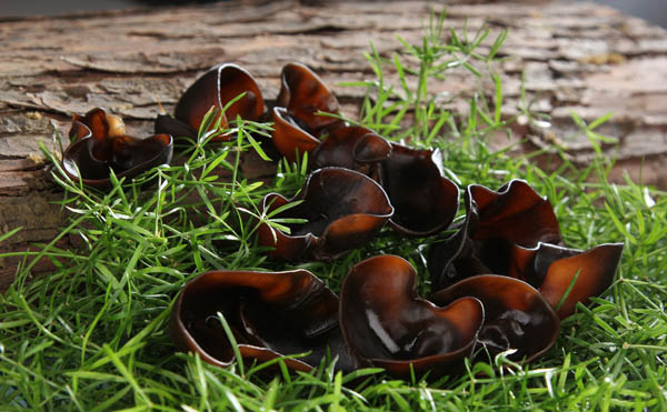 贫血的人吃什么更易补血？