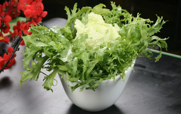 夏季吃“苦”食物根据自己体质吃，不可随便