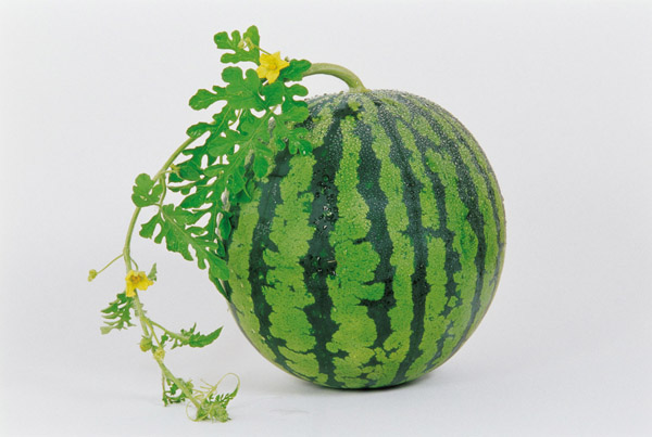 吃西瓜能一定程度上控制高血压