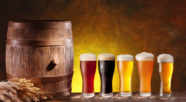 常喝啤酒真的会变笨吗？