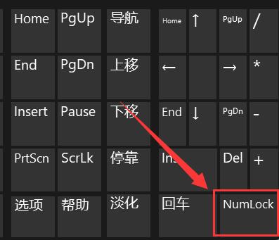 Win11电脑键盘打不了字怎么办?