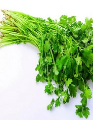 常见的12种蔬菜保鲜法